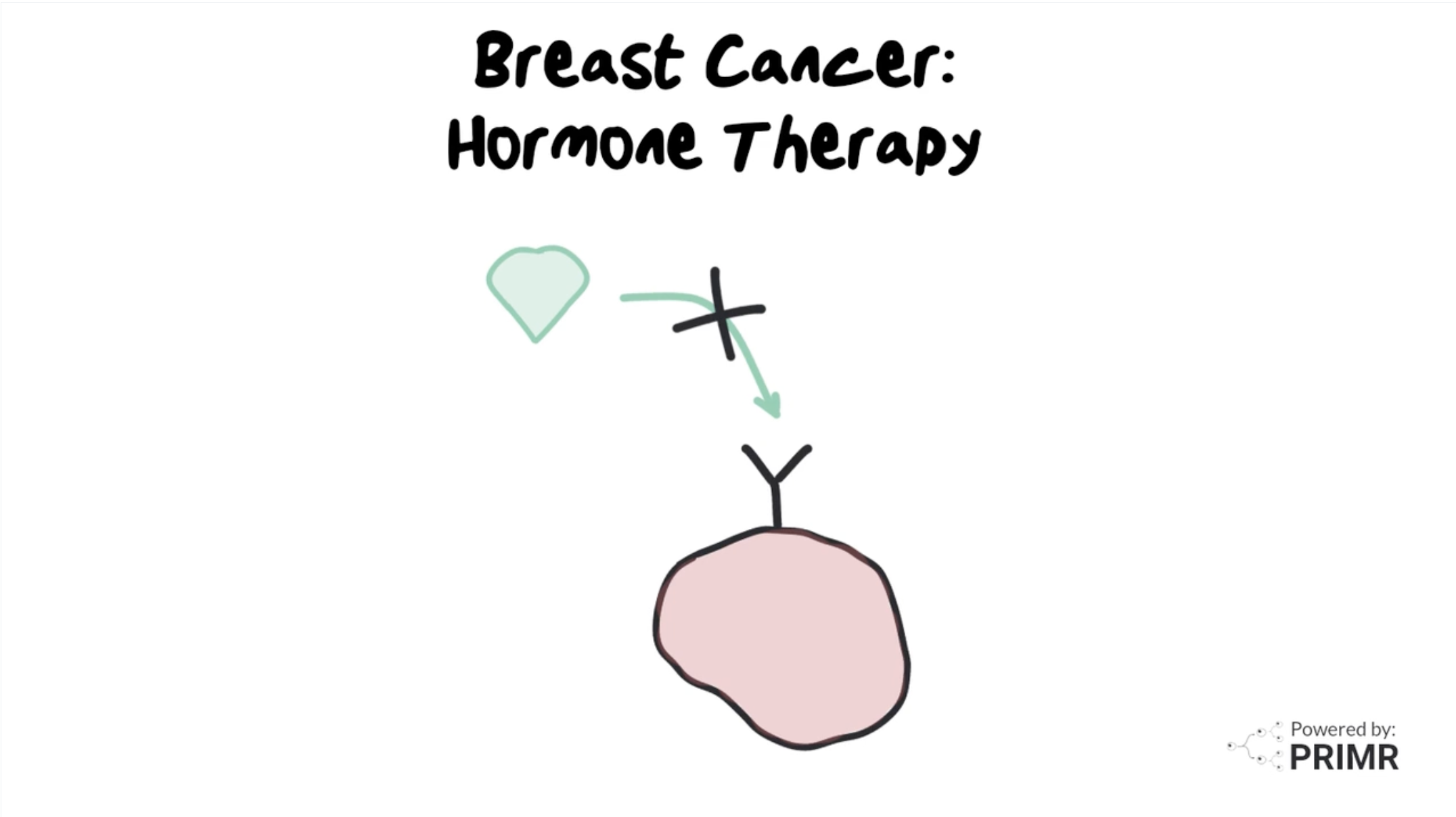 primr-hormone-therapy-for-breast-cancer